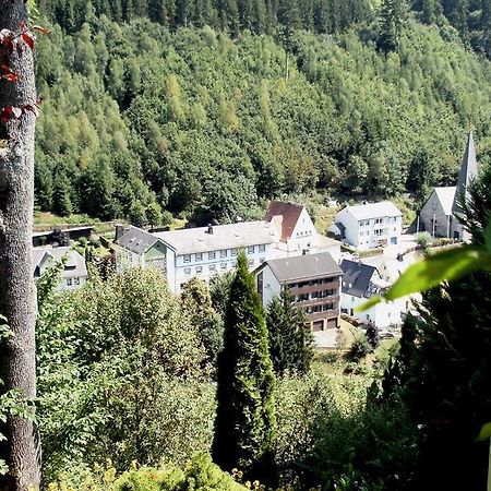 Gasthof Rodachtal Mit Gaestehaus Katharina Schwarzenbach am Wald Esterno foto