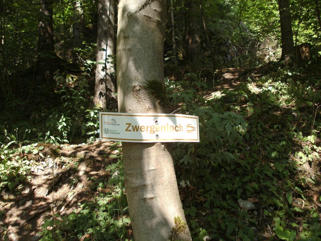 Gasthof Rodachtal Mit Gaestehaus Katharina Schwarzenbach am Wald Esterno foto